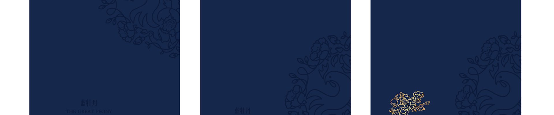 开云联系方式